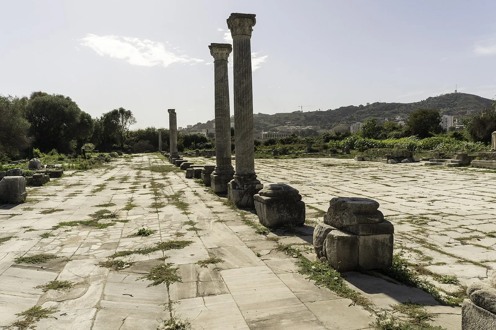 Ruins of Hippo (Hippo Regius)